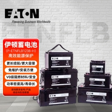 伊顿（Eaton） UPS电池铅酸蓄电池免维护12V38AH P-ETNFLB1238-H阀控密封蓄电池